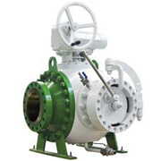 Pig Valve
